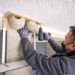 Mitarbeiter montiert Schwalbennester